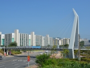 신대배후단지 조성사업 ...